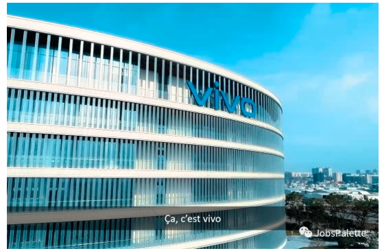 Vivo France招聘销售助理实习生